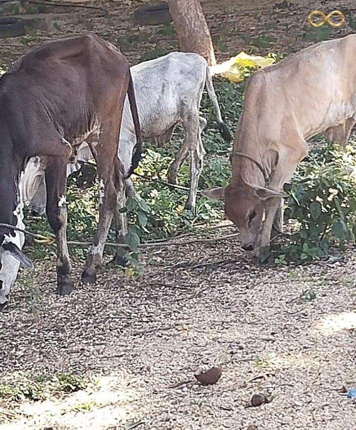 WhatsApp Image 2026-02-19 at 13.59.33 (1)