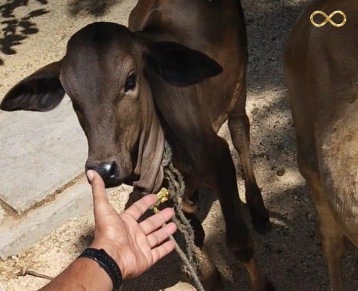 WhatsApp Image 2026-02-19 at 13.59.33 (2)