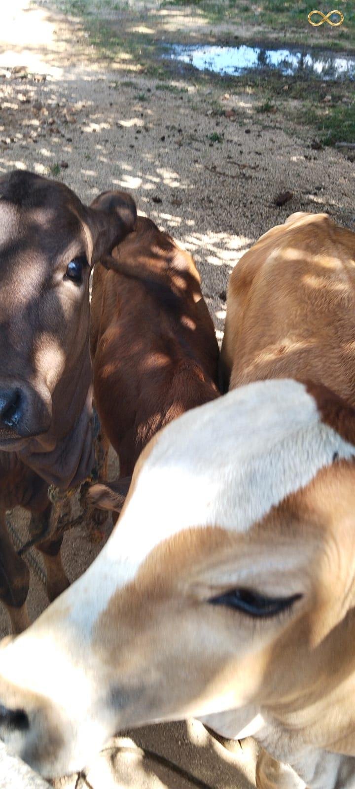 WhatsApp Image 2026-02-19 at 13.59.33 (3)