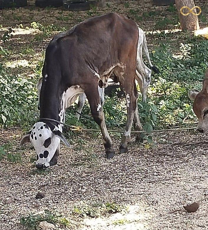 WhatsApp Image 2026-02-19 at 13.59.33