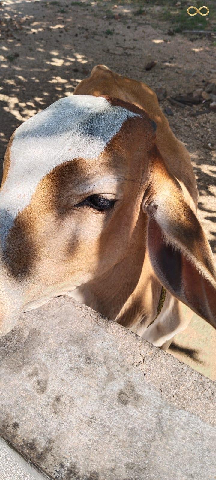 WhatsApp Image 2026-02-19 at 13.59.34 (1)