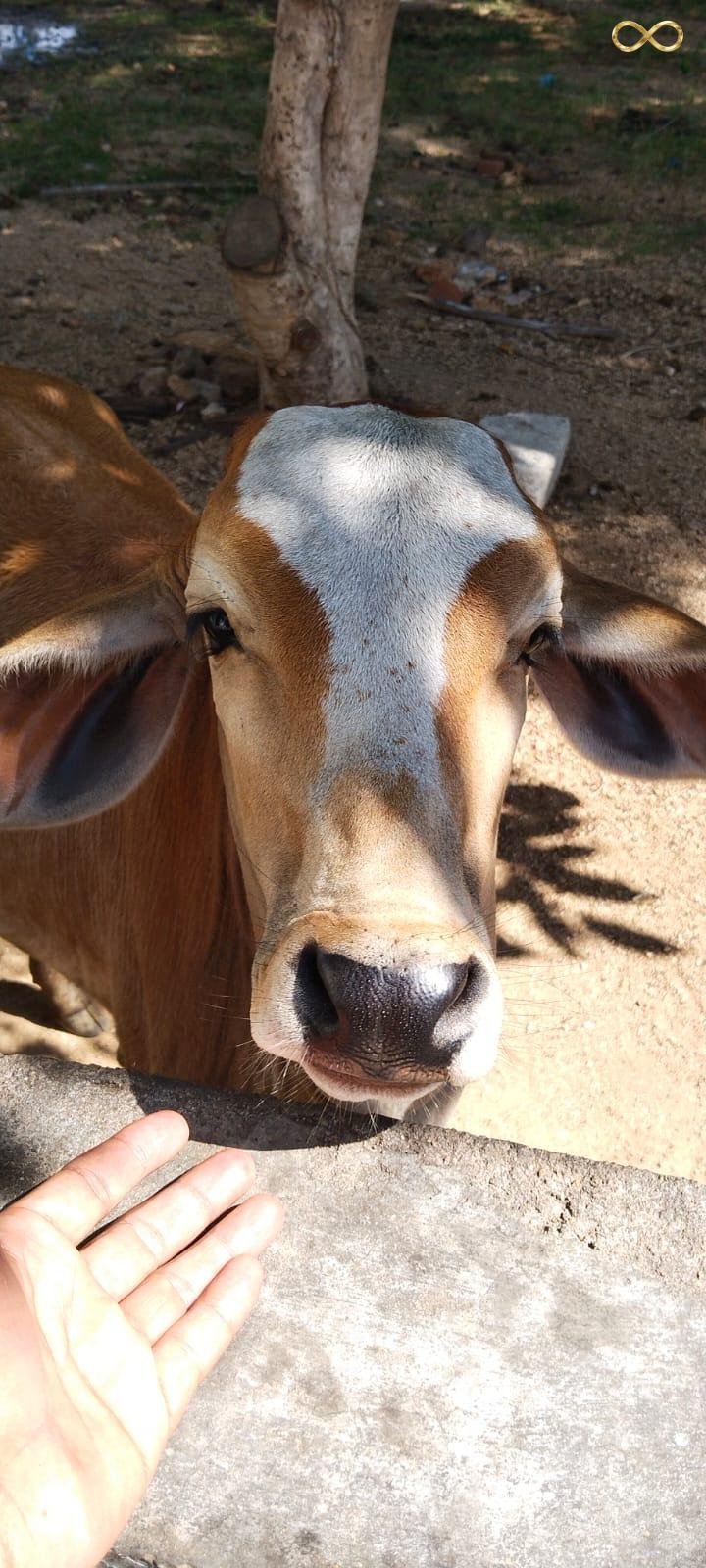 WhatsApp Image 2026-02-19 at 13.59.34 (2)