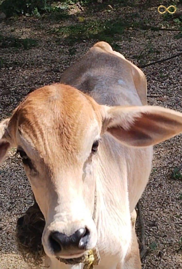 WhatsApp Image 2026-02-19 at 13.59.34