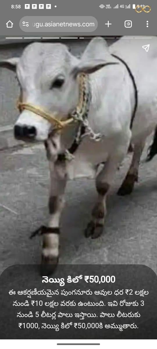 WhatsApp Image 2026-02-19 at 13.59.36 (1)