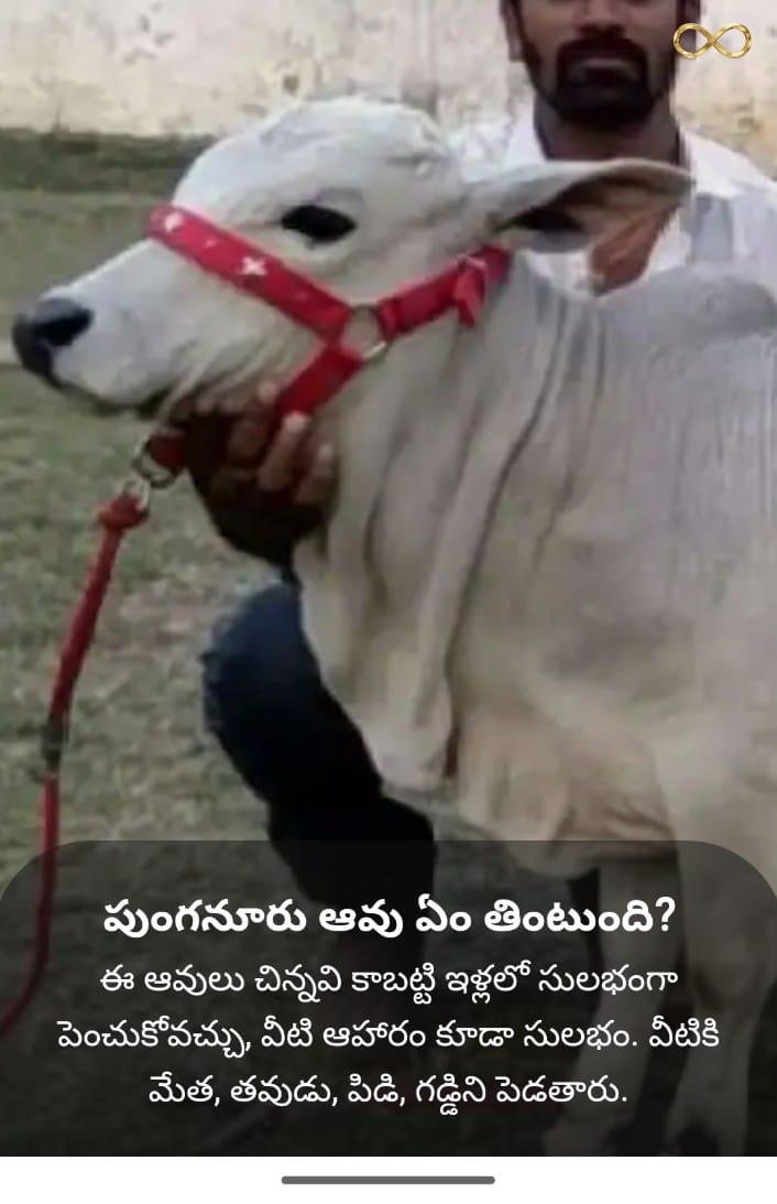 WhatsApp Image 2026-02-19 at 13.59.36 (2)