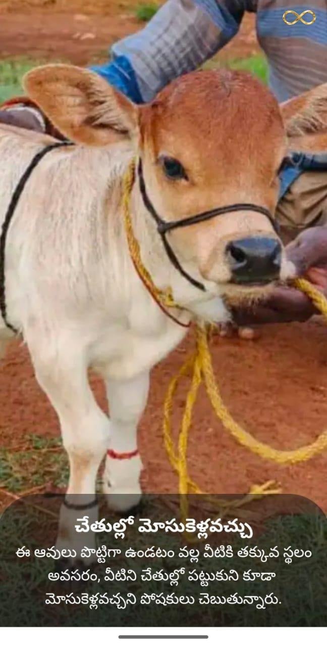 WhatsApp Image 2026-02-19 at 13.59.37