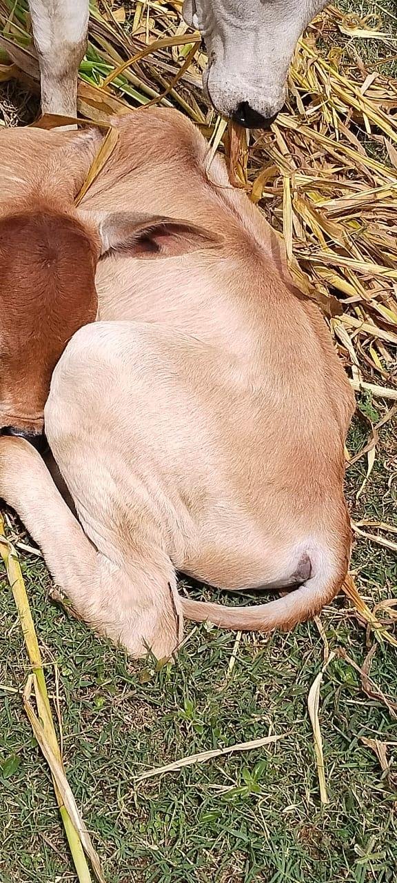 WhatsApp Image 2026-02-19 at 13.59.39