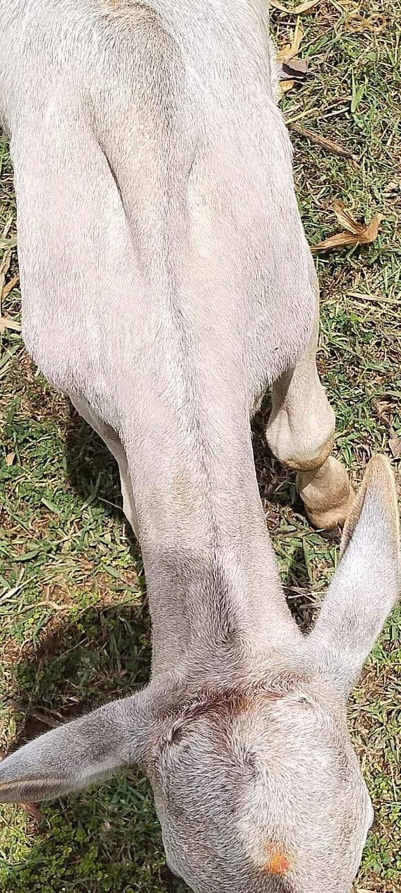 WhatsApp Image 2026-02-19 at 13.59.44 (1)