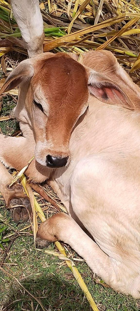 WhatsApp Image 2026-02-19 at 13.59.44