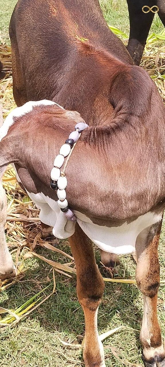 WhatsApp Image 2026-02-19 at 13.59.45 (2)