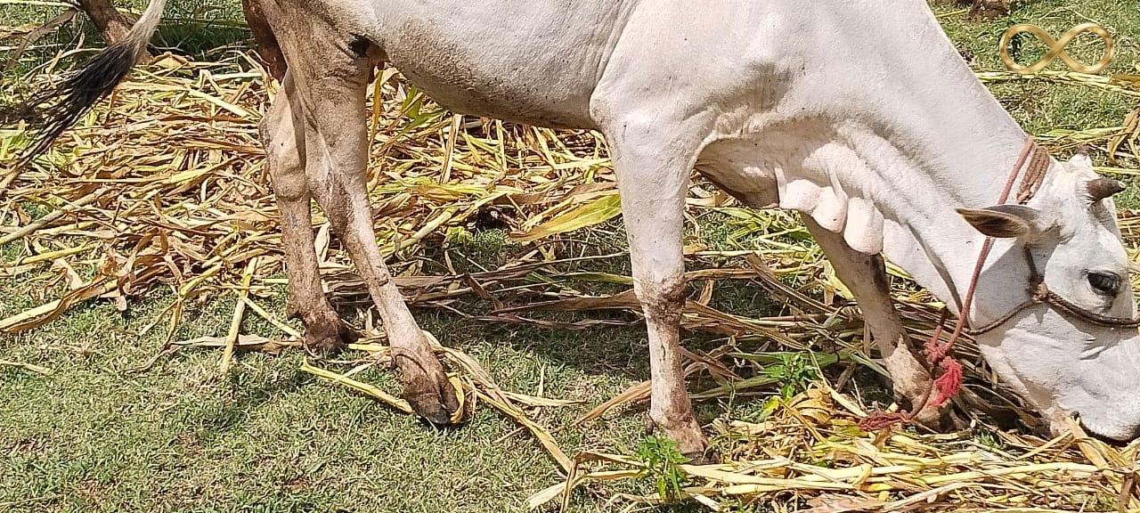 WhatsApp Image 2026-02-19 at 13.59.46 (1)