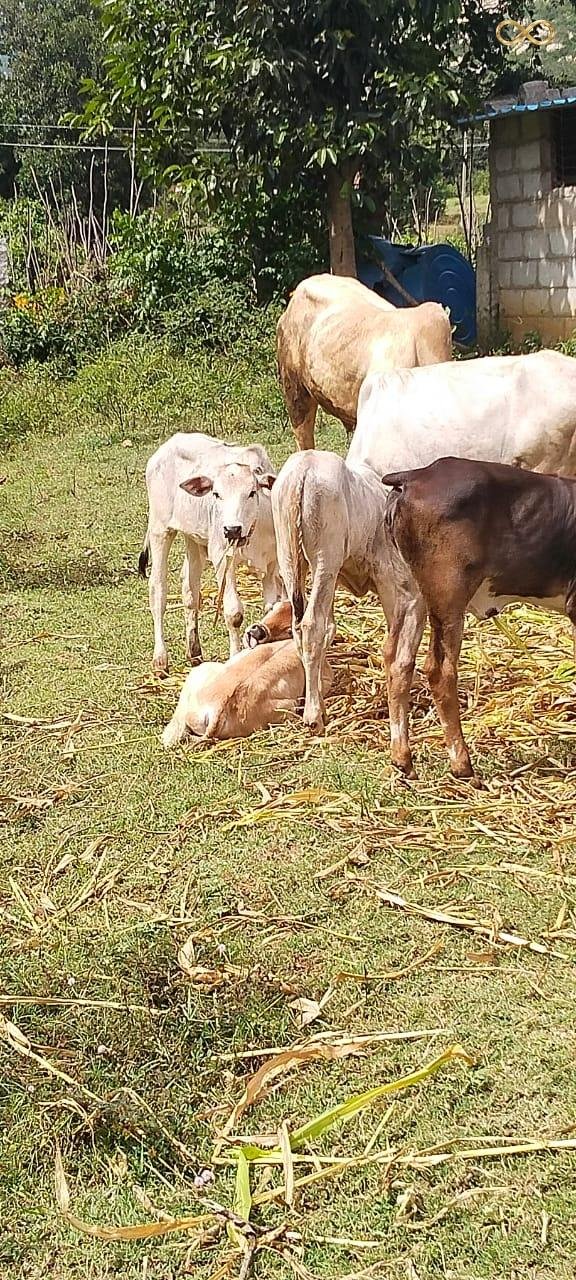 WhatsApp Image 2026-02-19 at 13.59.50 (1)