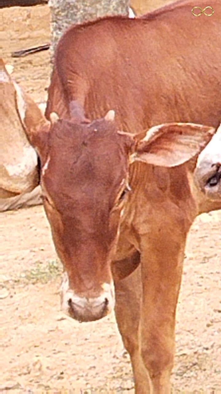 WhatsApp Image 2026-02-19 at 13.59.51