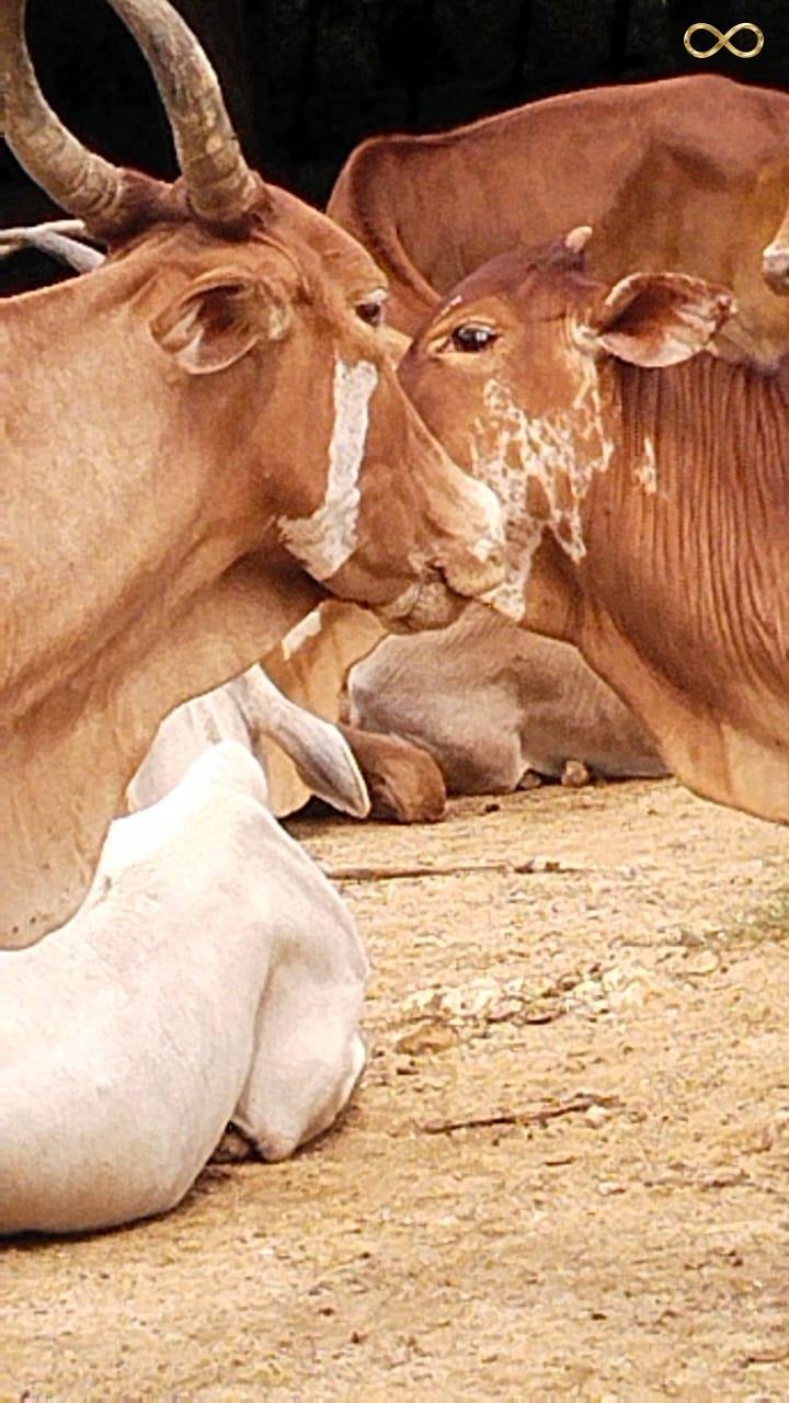 WhatsApp Image 2026-02-19 at 14.00.03 (1)