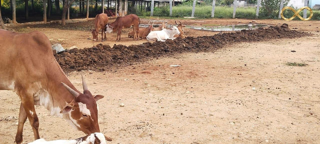 WhatsApp Image 2026-02-19 at 14.00.03 (2)