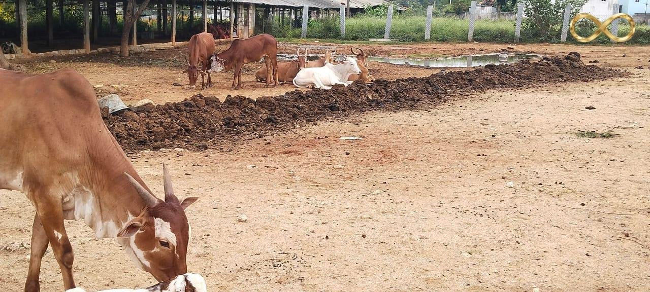 WhatsApp Image 2026-02-19 at 14.00.04