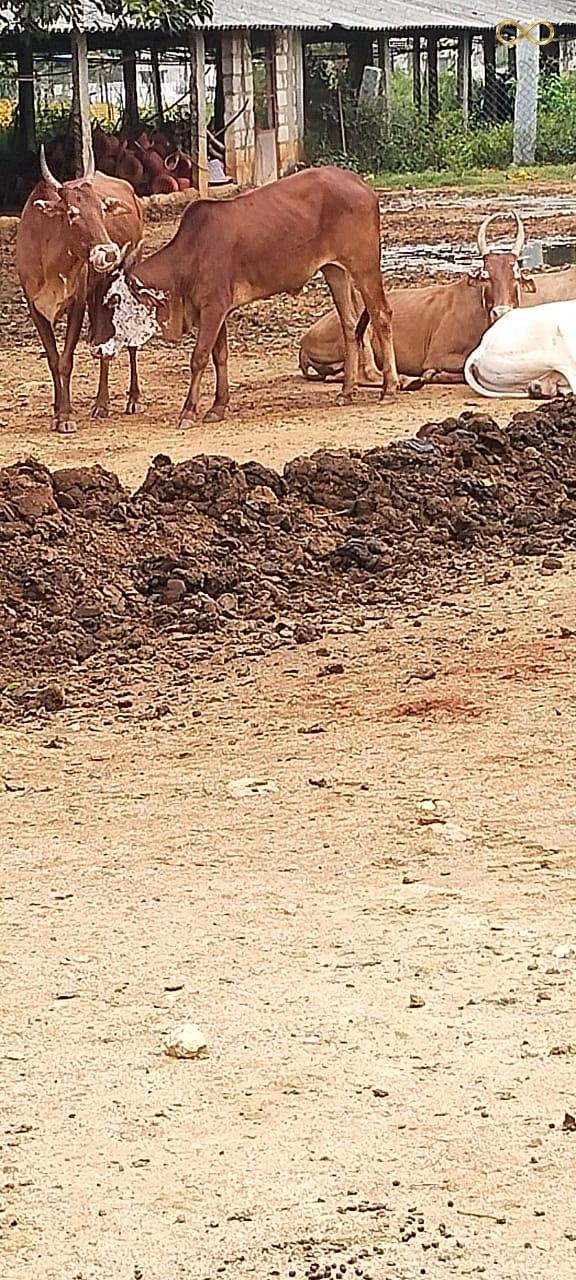 WhatsApp Image 2026-02-19 at 14.00.05 (1)