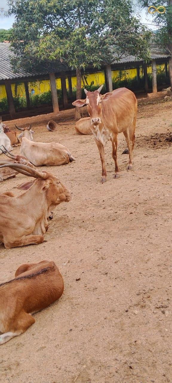 WhatsApp Image 2026-02-19 at 14.00.05 (2)