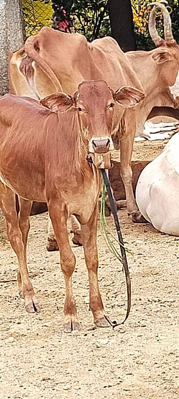 WhatsApp Image 2026-02-19 at 14.00.06