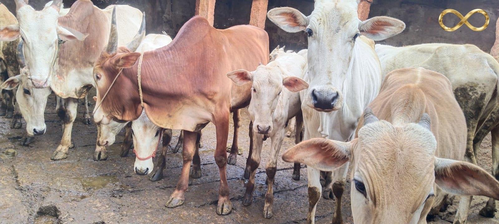 WhatsApp Image 2026-02-19 at 14.00.07 (1)