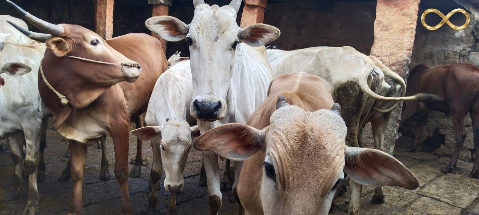 WhatsApp Image 2026-02-19 at 14.00.08 (1)