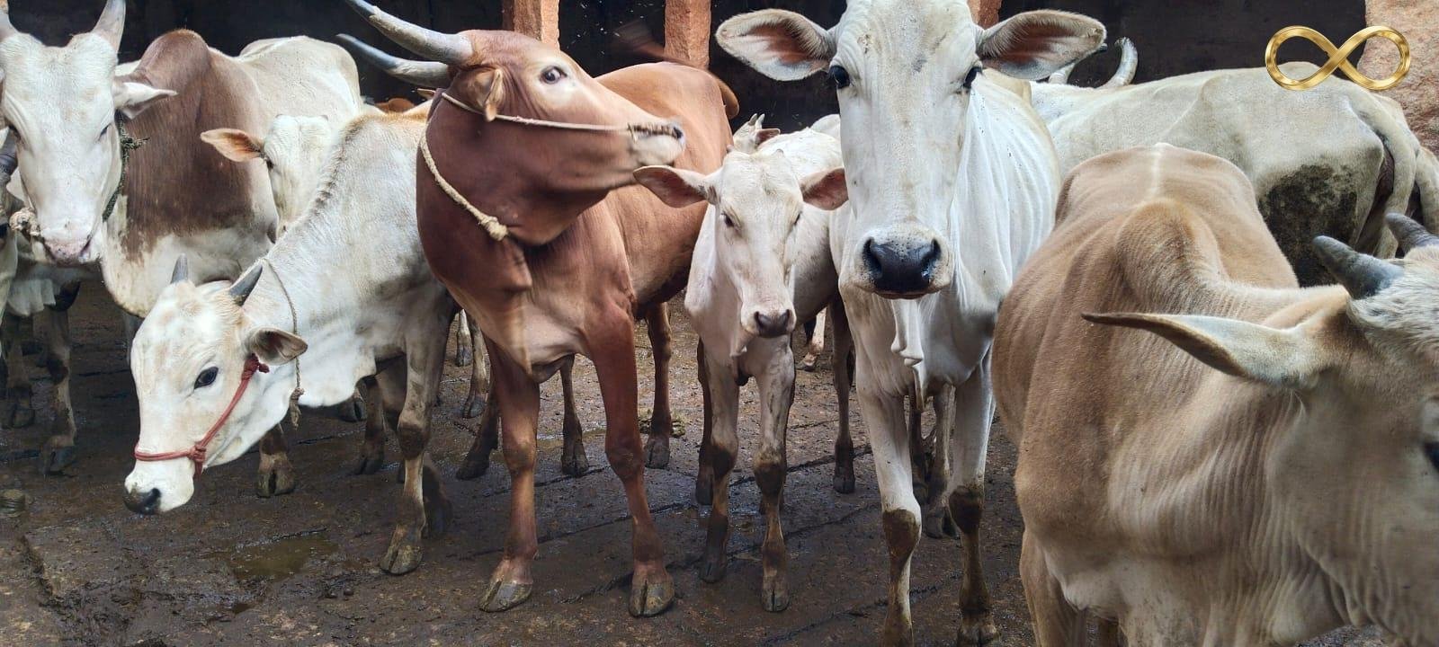 WhatsApp Image 2026-02-19 at 14.00.08 (2)