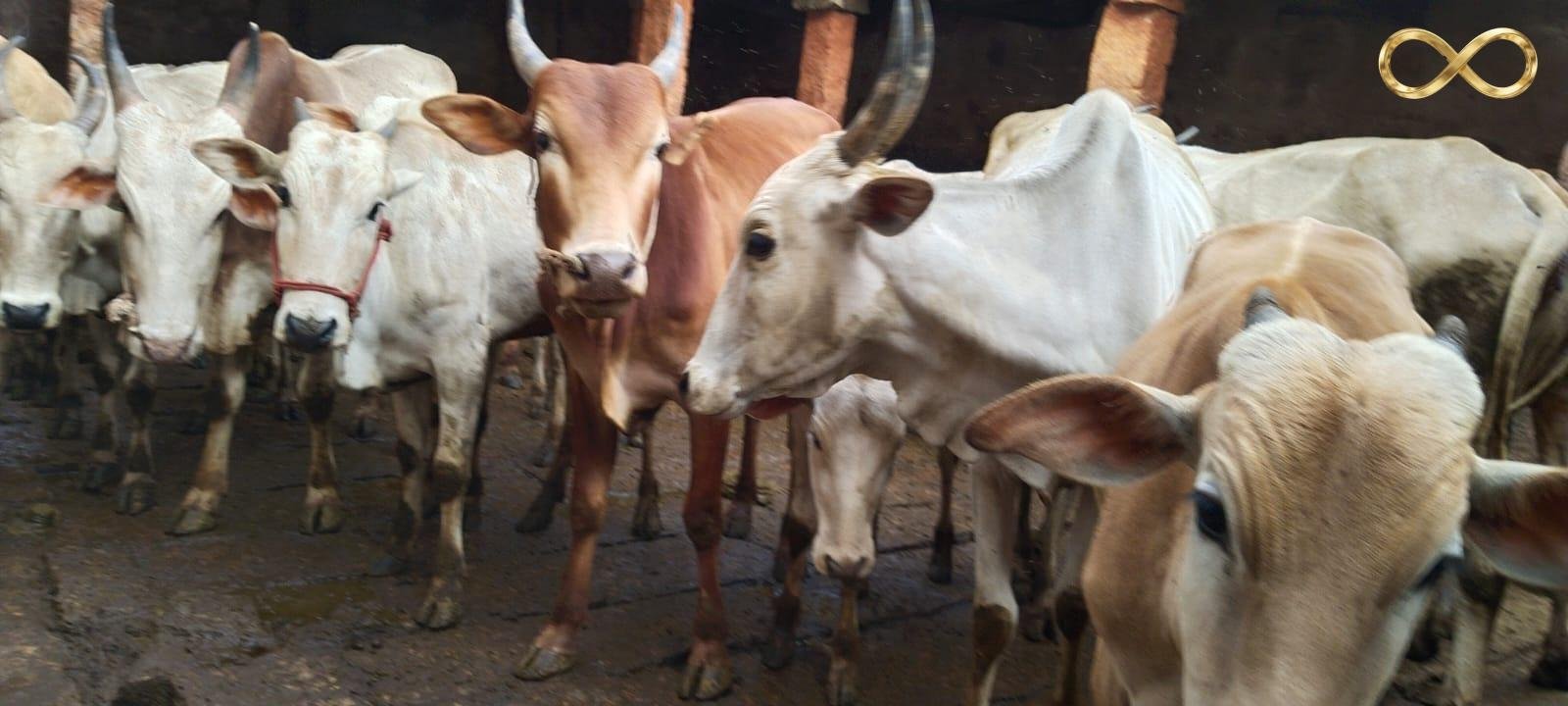 WhatsApp Image 2026-02-19 at 14.00.08