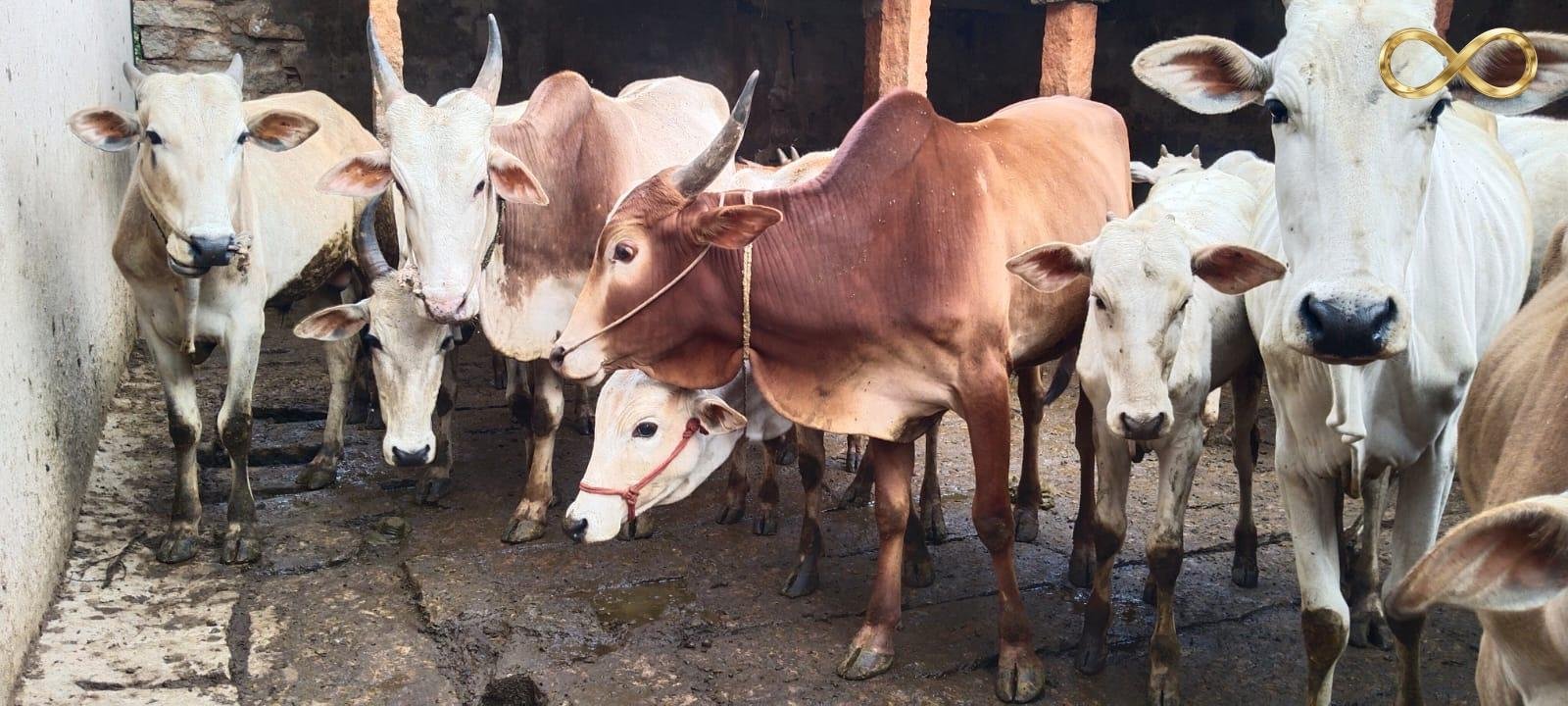 WhatsApp Image 2026-02-19 at 14.00.09