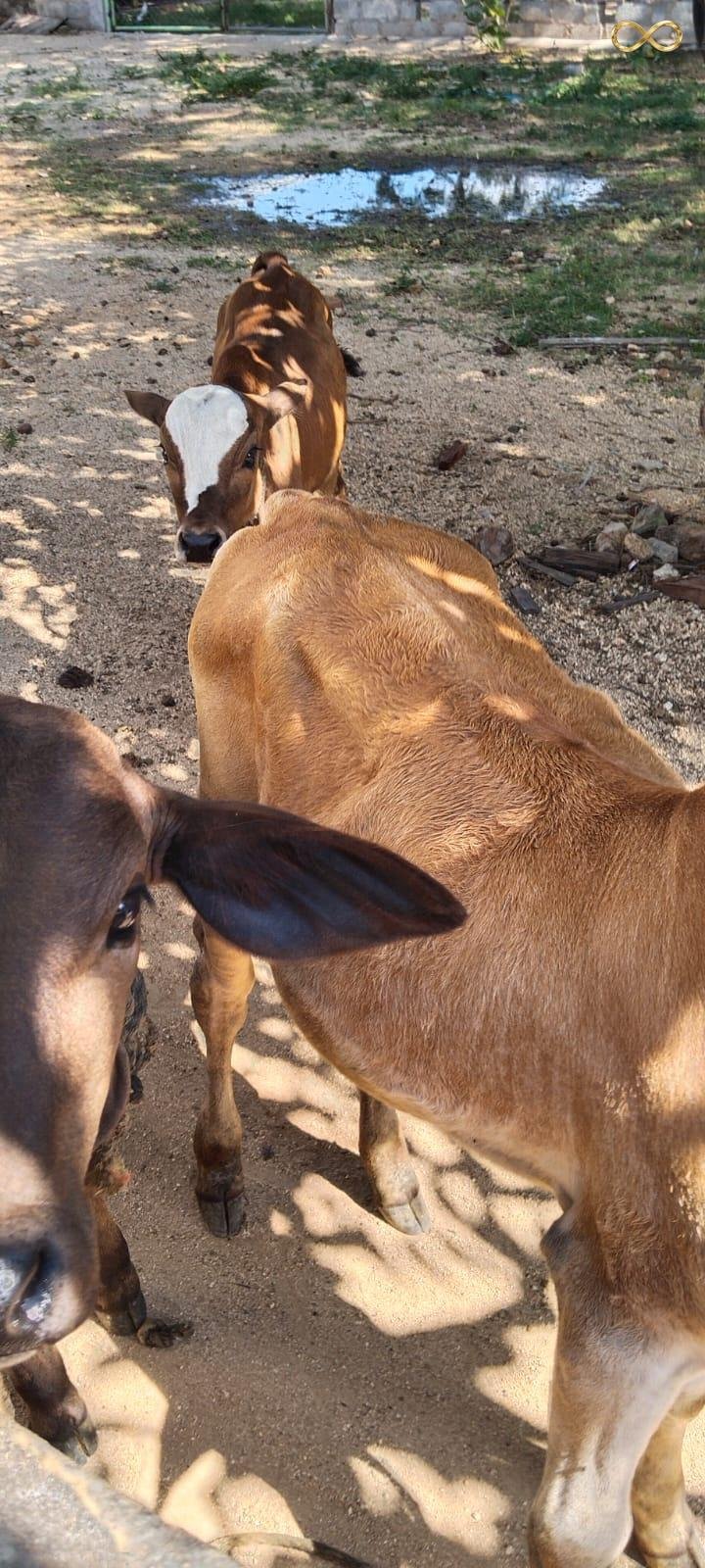 WhatsApp Image 2026-02-19 at 14.00.15 (1)