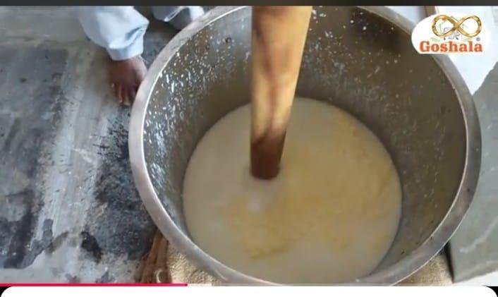 WhatsApp Image 2026-02-19 at 14.00.17