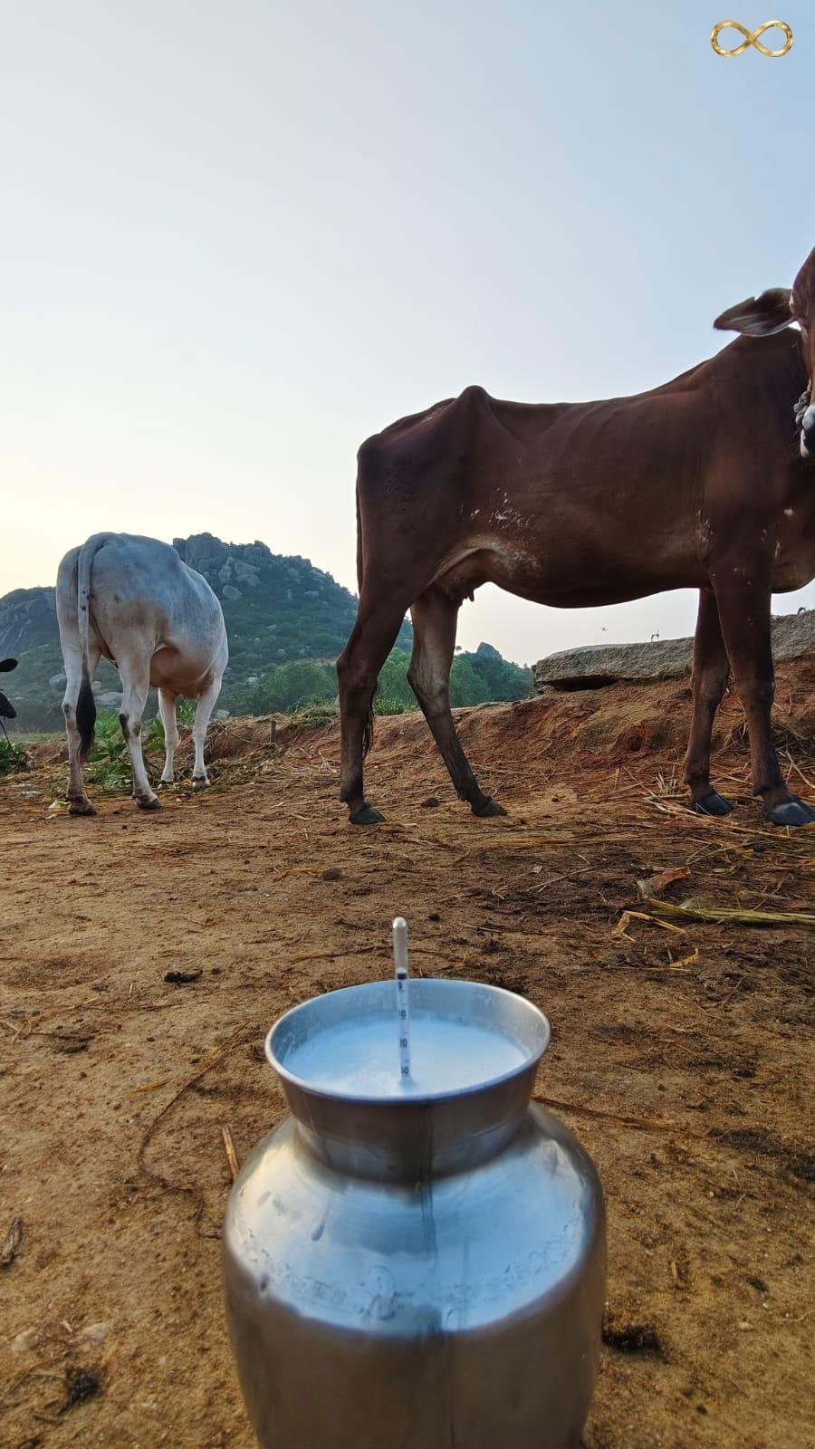 WhatsApp Image 2026-02-19 at 14.00.21 (2)