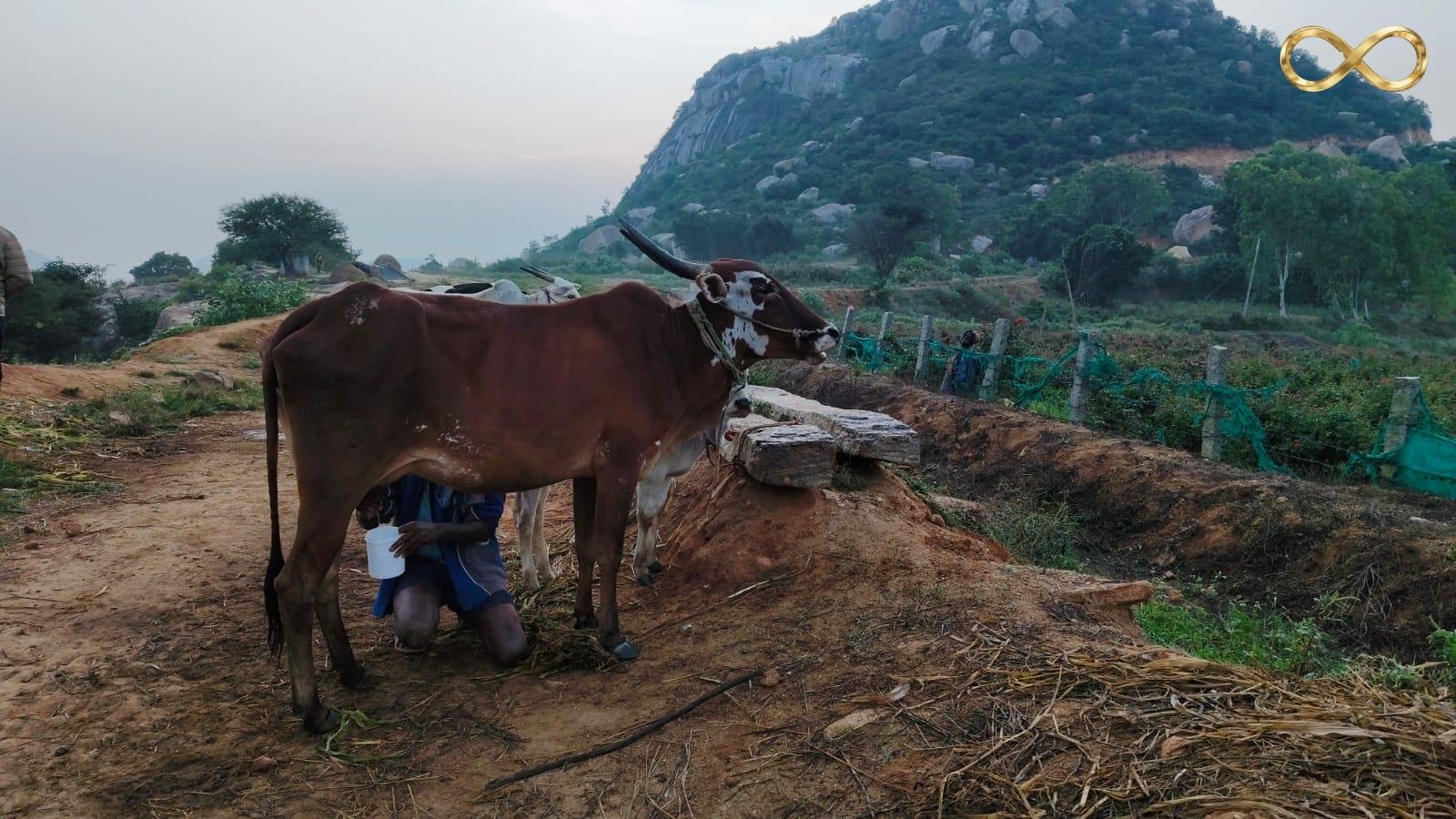 WhatsApp Image 2026-02-19 at 14.00.21 (3)