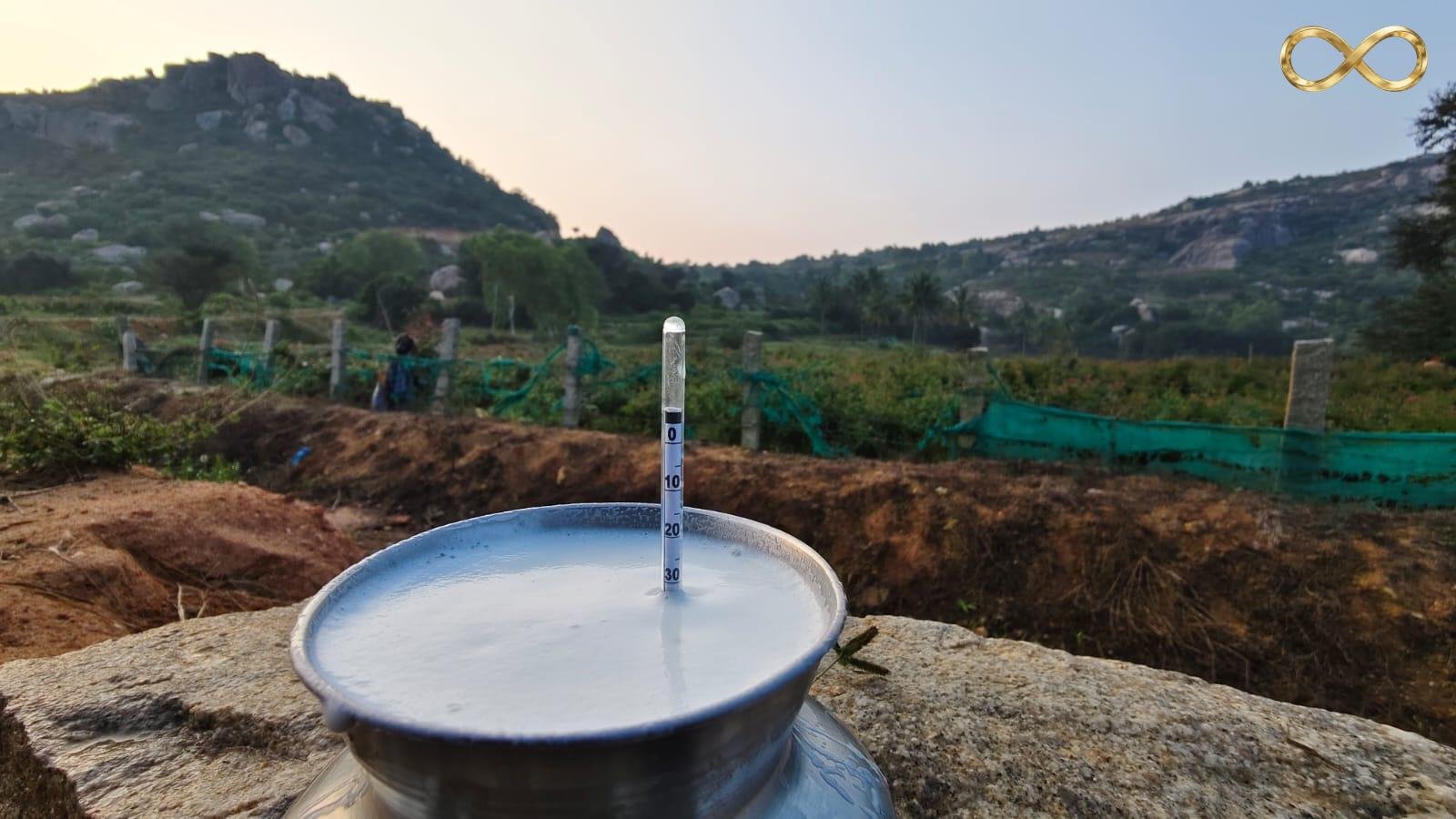 Final jar of golden granular ghee