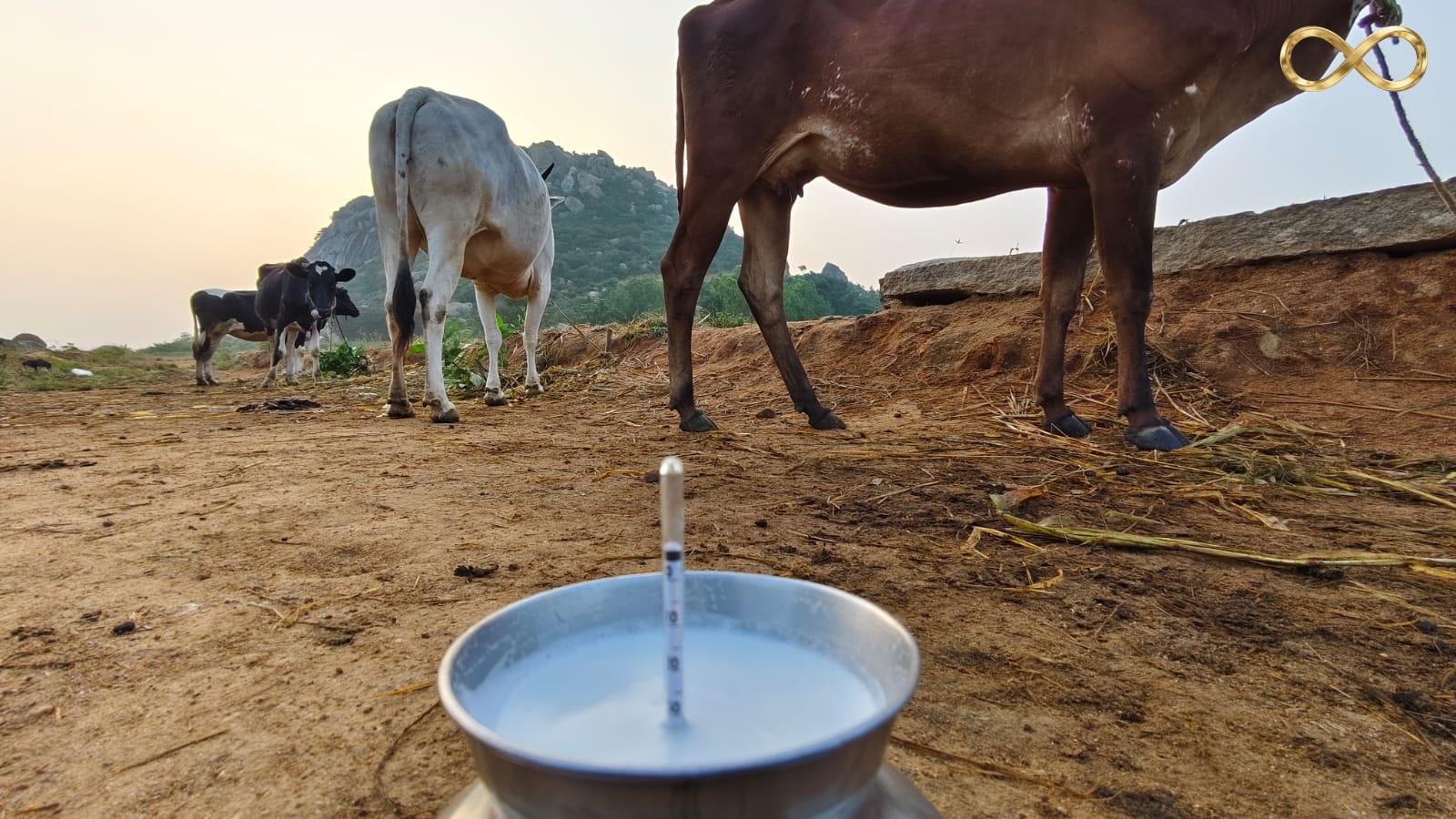 WhatsApp Image 2026-02-19 at 14.00.22 (1)