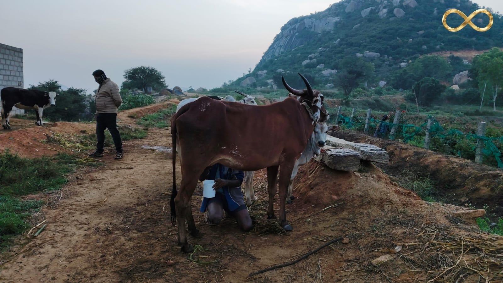 WhatsApp Image 2026-02-19 at 14.00.22