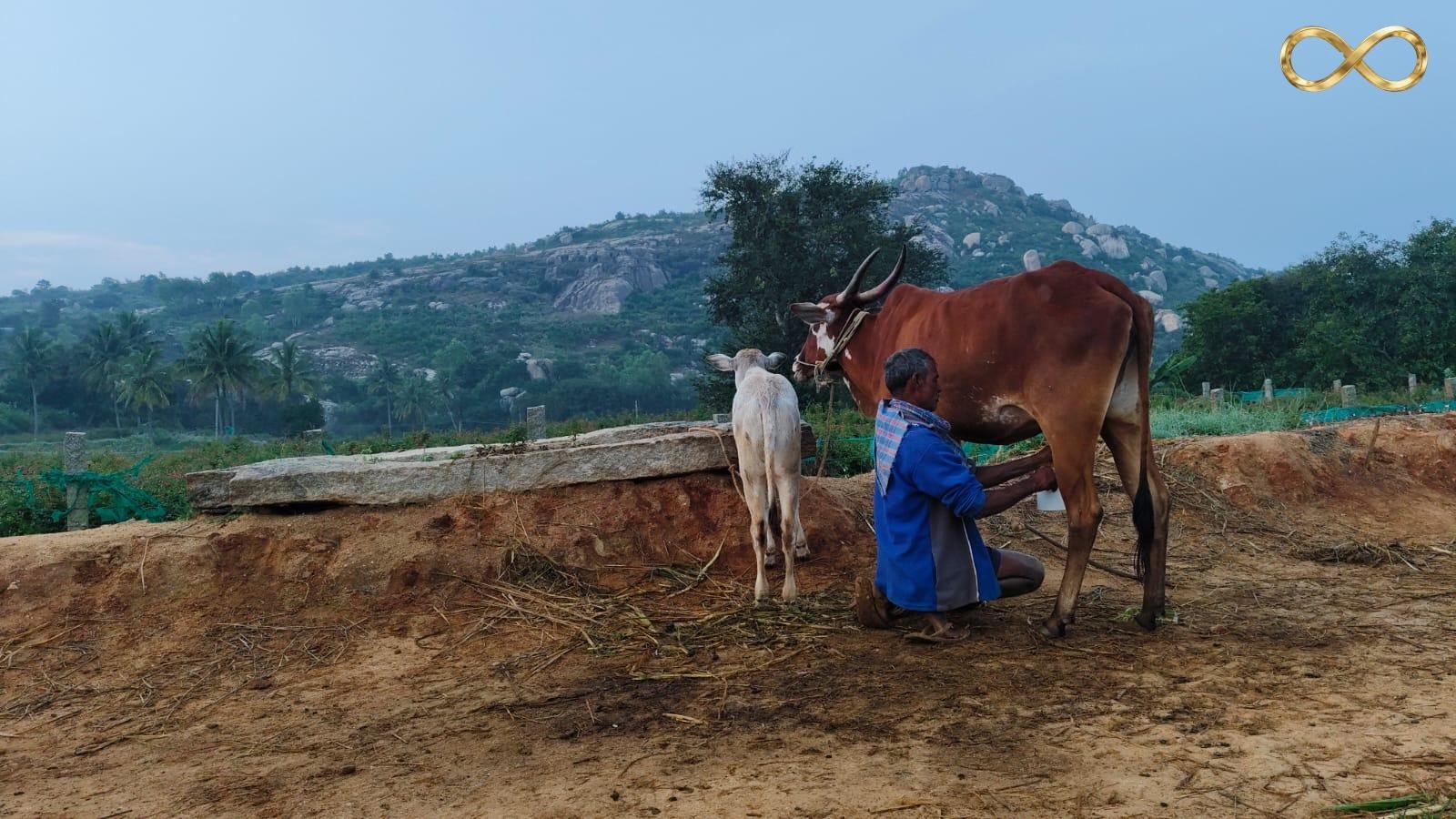 WhatsApp Image 2026-02-19 at 14.00.23 (1)