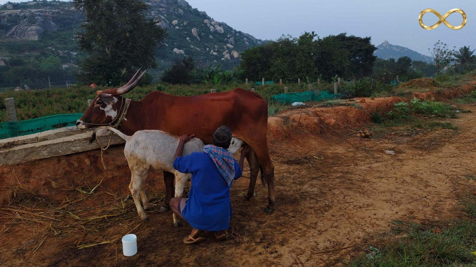 WhatsApp Image 2026-02-19 at 14.00.23 (2)